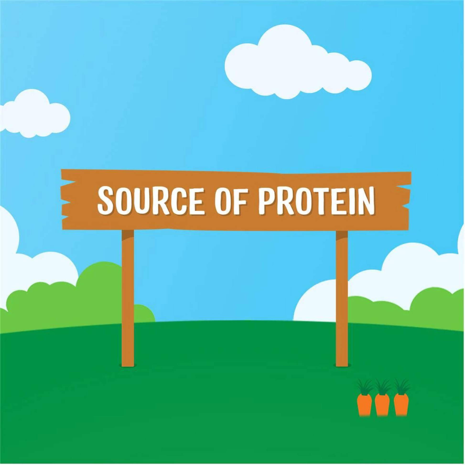 Rafferty's Garden Protein Tuna Vegetables Baby Food Pouch 6+ Months Best imported Australian genuine authentic premium childcare snack healthy low price in bd