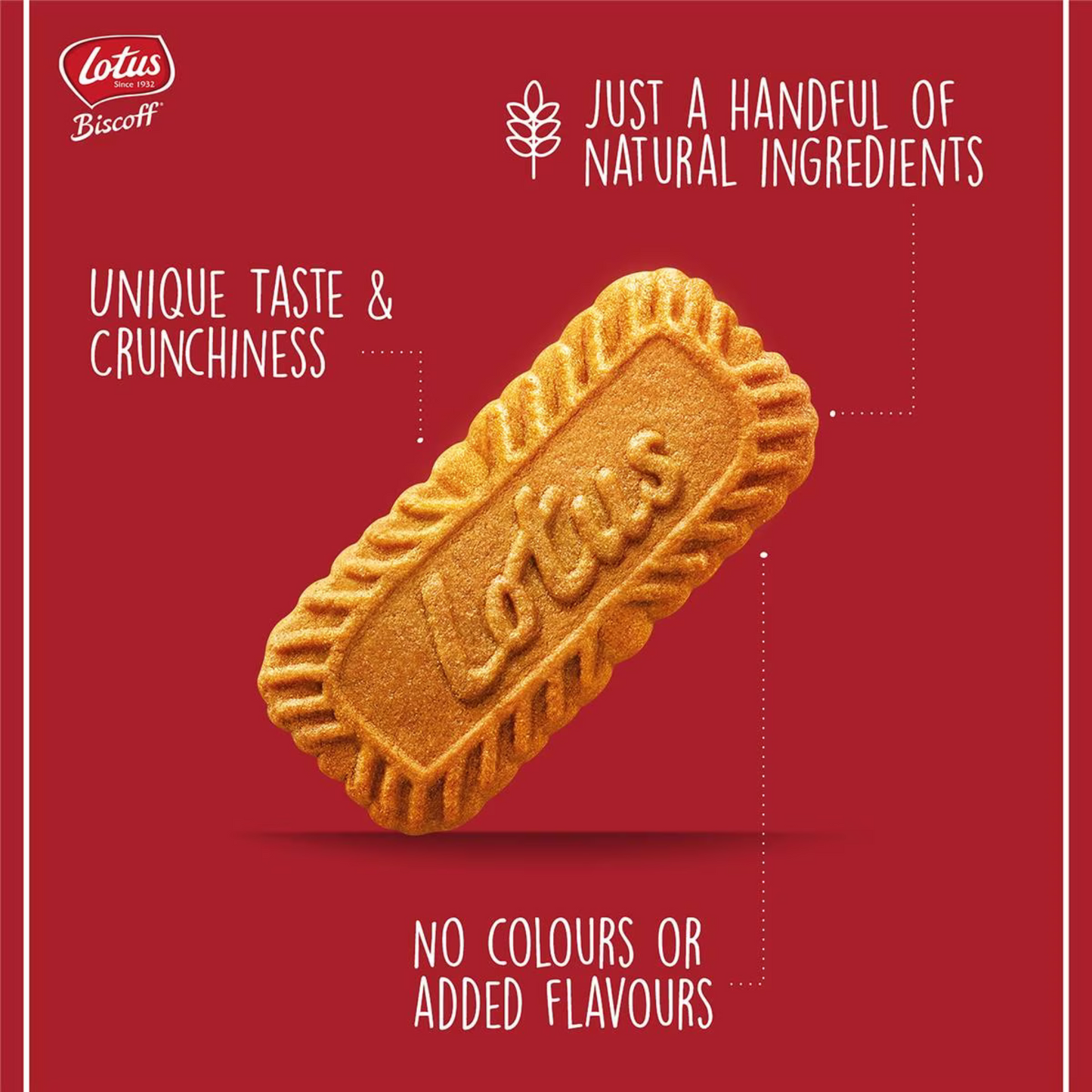 Lotus Biscoff Biscuit are crunchy caramelised biscuits made in Belgium. This tasteful little biscuit is world famous thanks to it's unique flavour, iconic shape & crunchy bite. Halal suitable. Best imported foreign real genuine authentic Belgium snack biskut premium quality bakery cheap price in Dhaka Bangladesh.