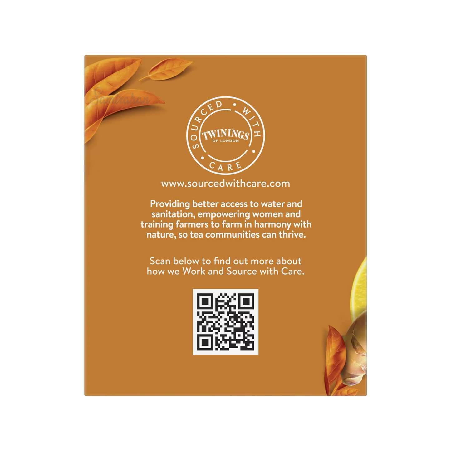 Twinings Lemon & Ginger Tea Bags natural herbal caffeine free focus calm blend organic Root Best authentic import Australia UK instant strong cheap price in bd