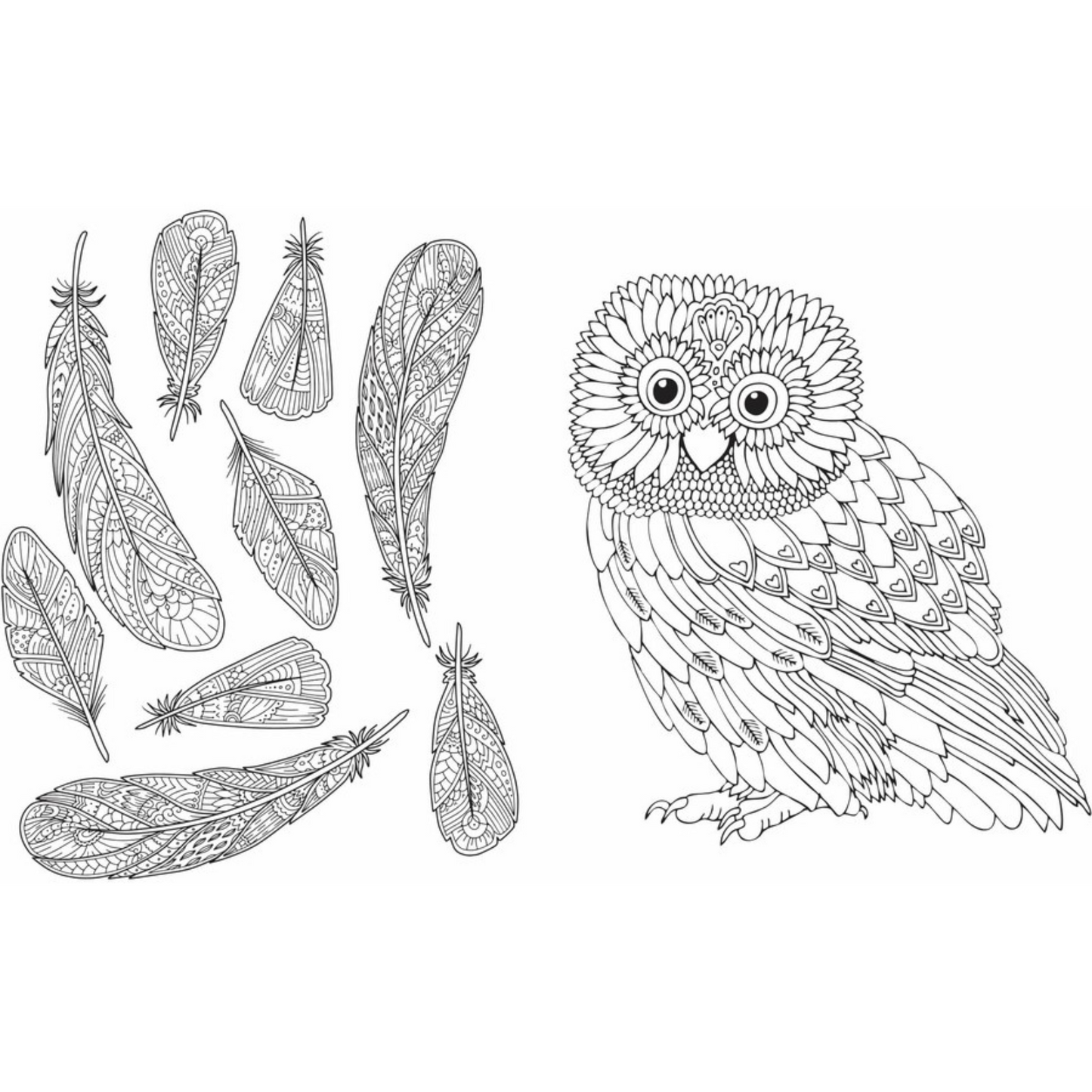 Wild & Free Colouring Book Children beautiful kids Best imported Australian authentic brand education creative boys girls young pencil fun low price in Dhaka