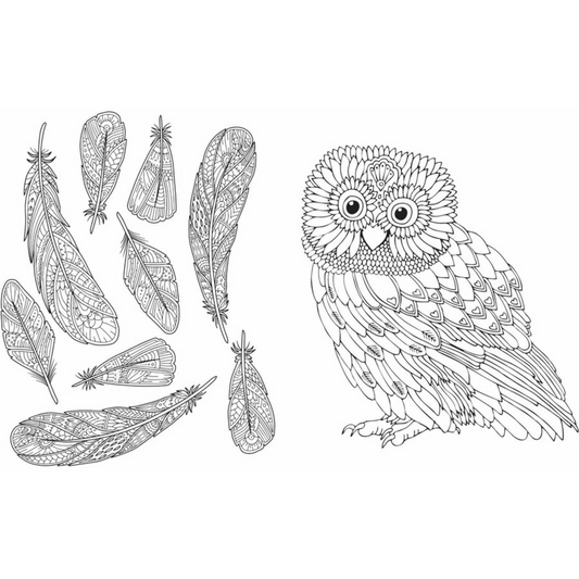 Wild & Free Colouring Book Children beautiful kids Best imported Australian authentic brand education creative boys girls young pencil fun low price in Dhaka