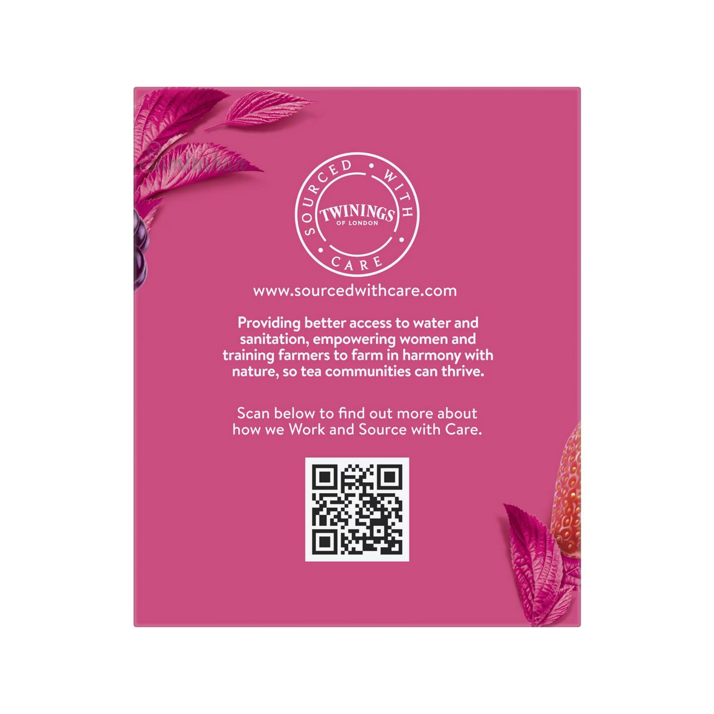 Twinings Strawberry, Raspberry & Loganberry Tea natural caffeine free focus calm blend organic Root Best import Australia UK instant strong cheap price in bd