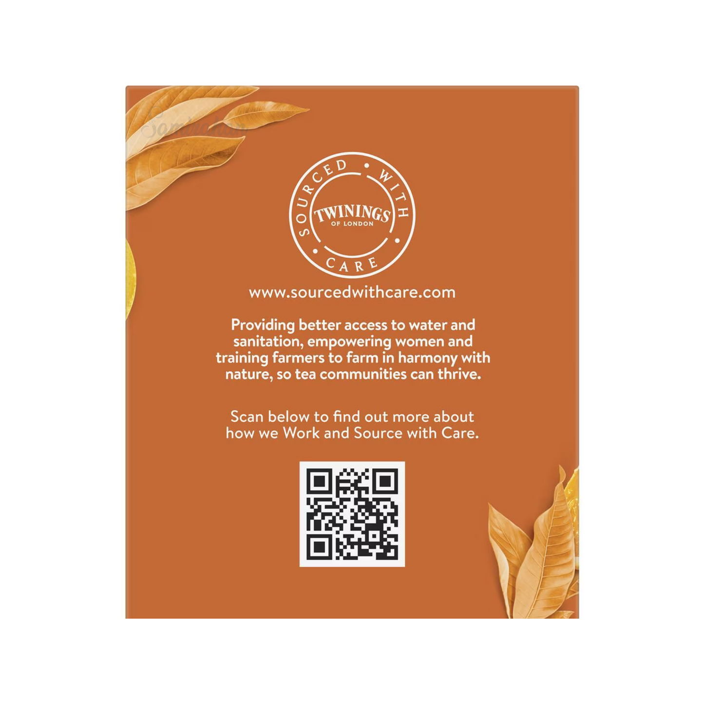 Twinings Orange & Cinnamon Tea natural caffeine free focus calm blend organic Root Best authentic import Australia UK instant natural strong cheap price in bd