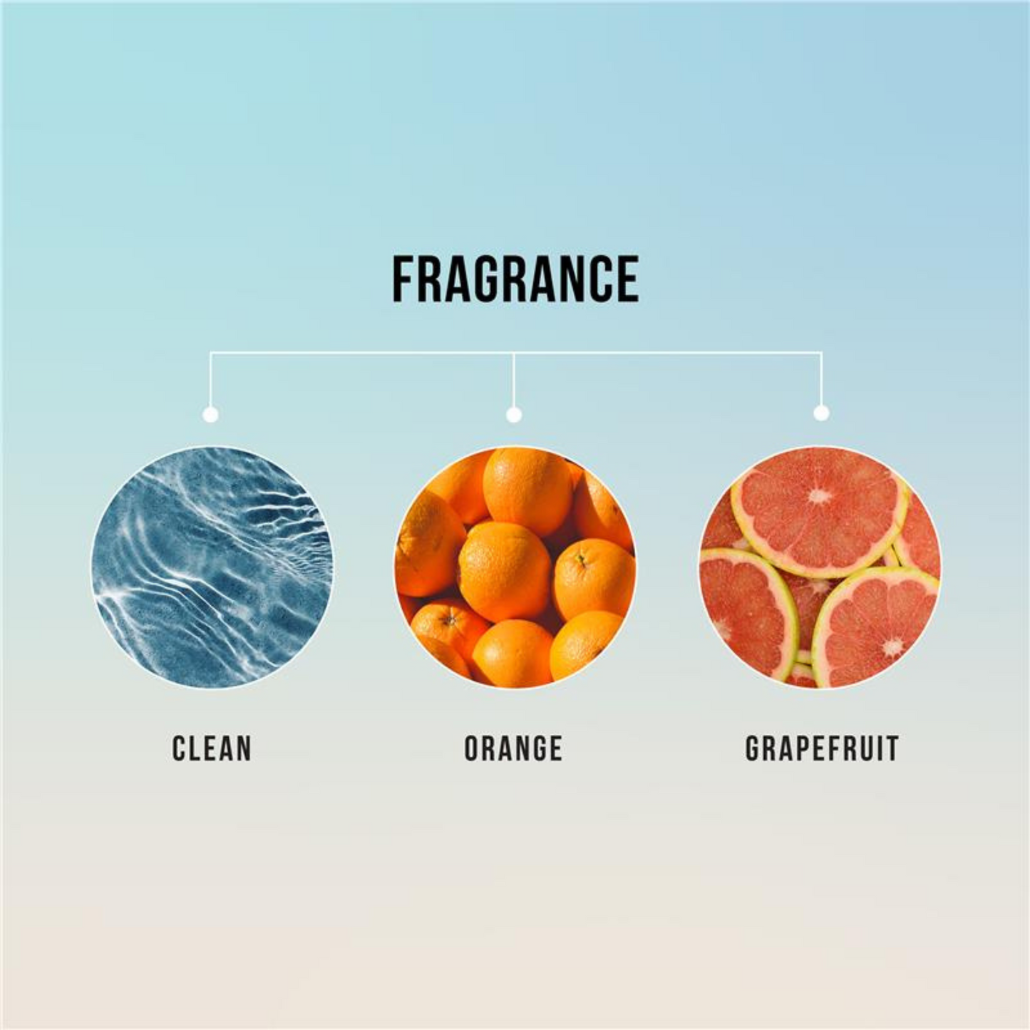 Hask Argan Oil Miracle Split End Damage Repair Cream Best import dry soft organic beauty skincare anti Softens Clean restore silky Protein Moroccan low price bd