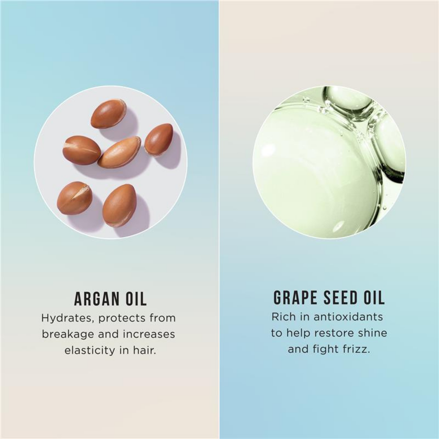 Hask Argan Oil Miracle Split End Damage Repair Cream Best import dry soft organic beauty skincare anti Softens Clean restore silky Protein Moroccan low price bd