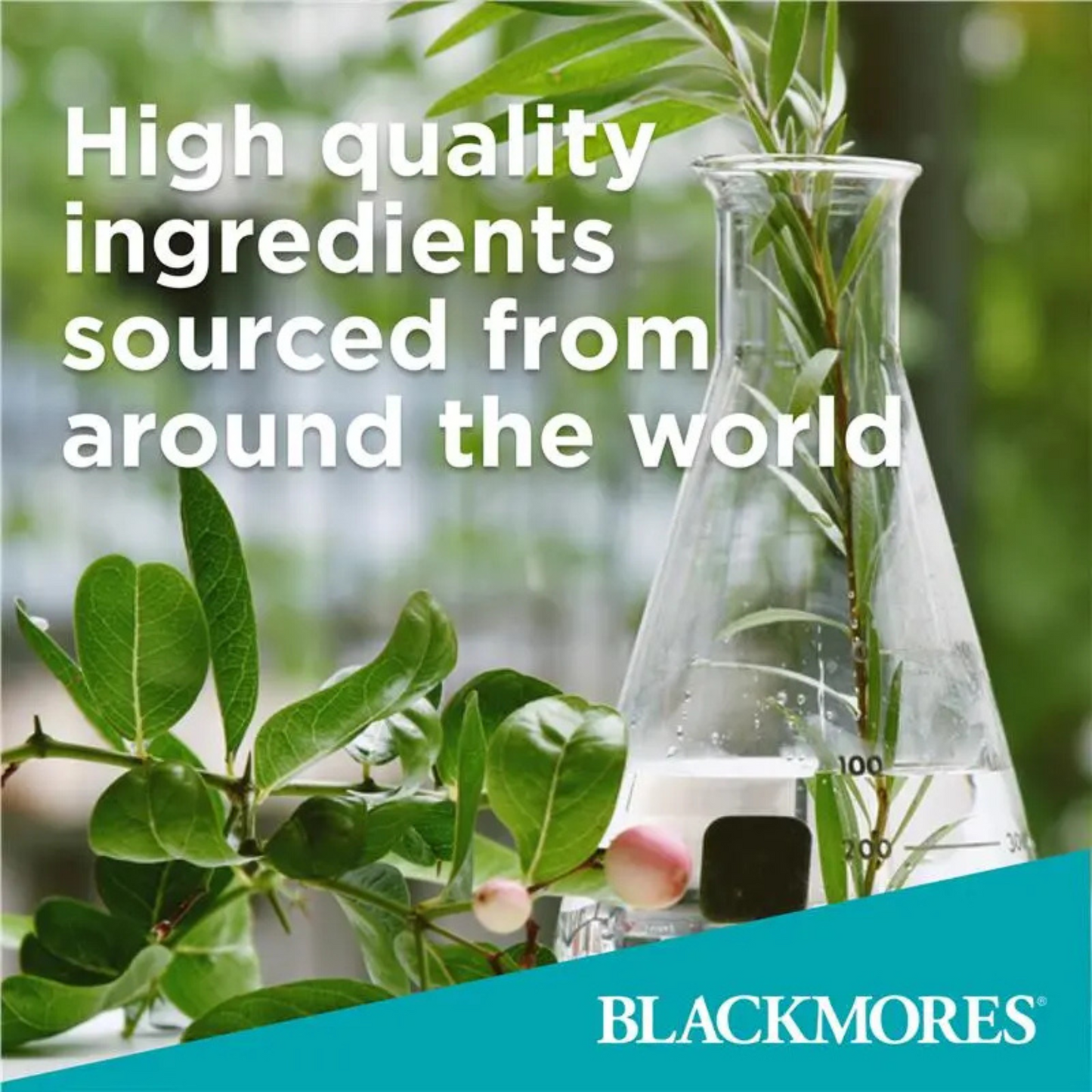 Blackmores Odourless High Strength Wild Fish Oil heart brain eye health Best imported Australia original real Biotin hair glow energy premium low price Dhaka bd