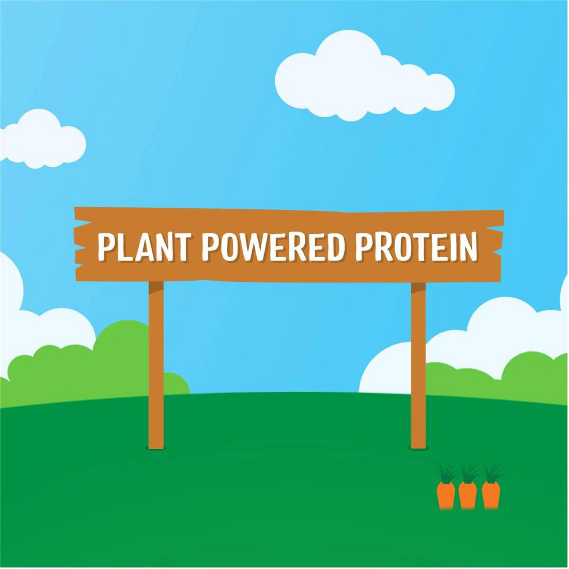 Rafferty's Garden Chickpea Corn Carrot Protein Baby Food fruits vegetable Best import Australia authentic premium kids snack healthy discount cheap price in BD