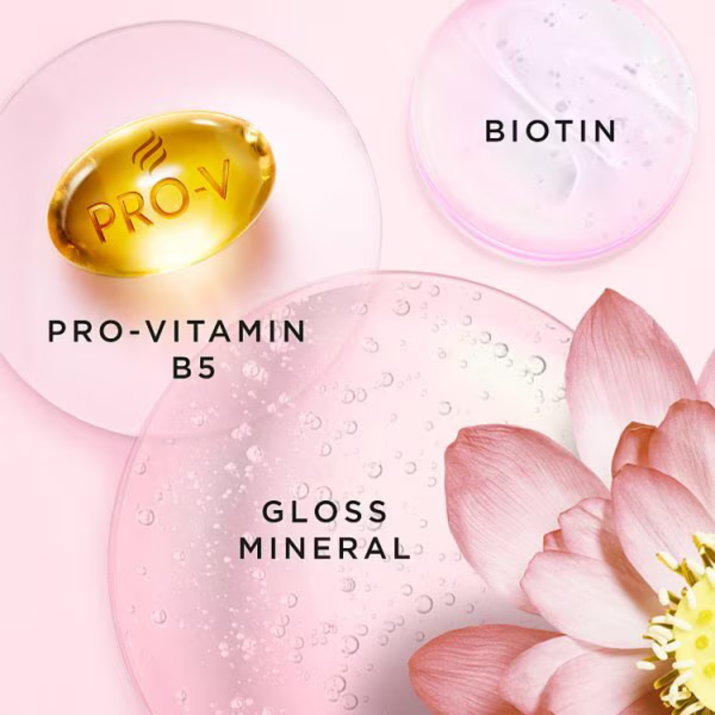 Pantene Pro-V Miracles Colour Gloss Conditioner Biotin & Gloss Mineral UK Best fine healthy growth shine foreign import loss damage sculp low price BD Dhaka