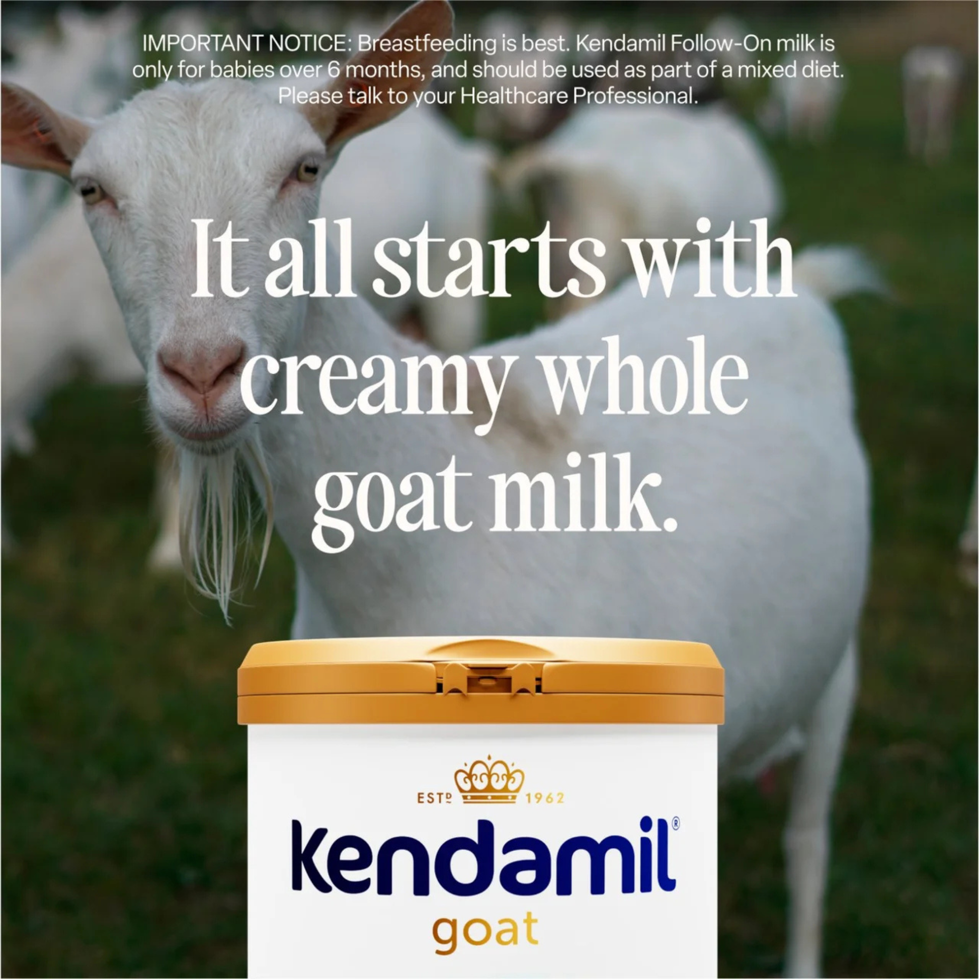 Kendamil Goat Toddler Milk Powder Formula Stage 3 From 12-36 Months grass fed authentic Import UK British bone health growth quality baby food cheap price in BD Gazipur Faridpur Gopalganj  Bangladesh Army Headquerters Cantonment 