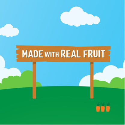 Rafferty’s Garden Banana Snack Bars Baby Food Pouch 12+Month fruit paste Easy-to-eat texture toddler Best import authentic premium snack healthy low price in BD Notun Bazar Vatara Baridhara Nadda Pallabi Farmgate Motijheel Golapbag