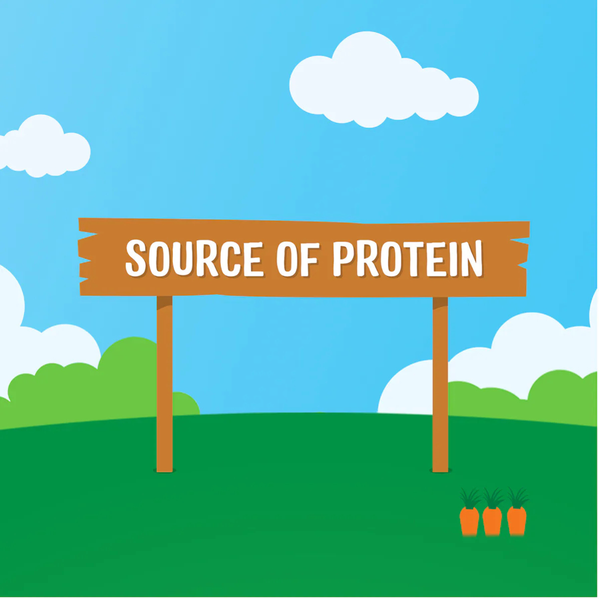 Rafferty's Garden Apple Pear Cinnamon Porridge Baby Food Pouch fruits vegetable import Australia authentic premium kids snack healthy organic cheap price in BD