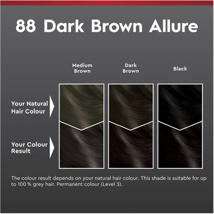 Schwarzkopf Brilliance Permanent Hair Colour 88 Dark Brown Allure 1 Kit